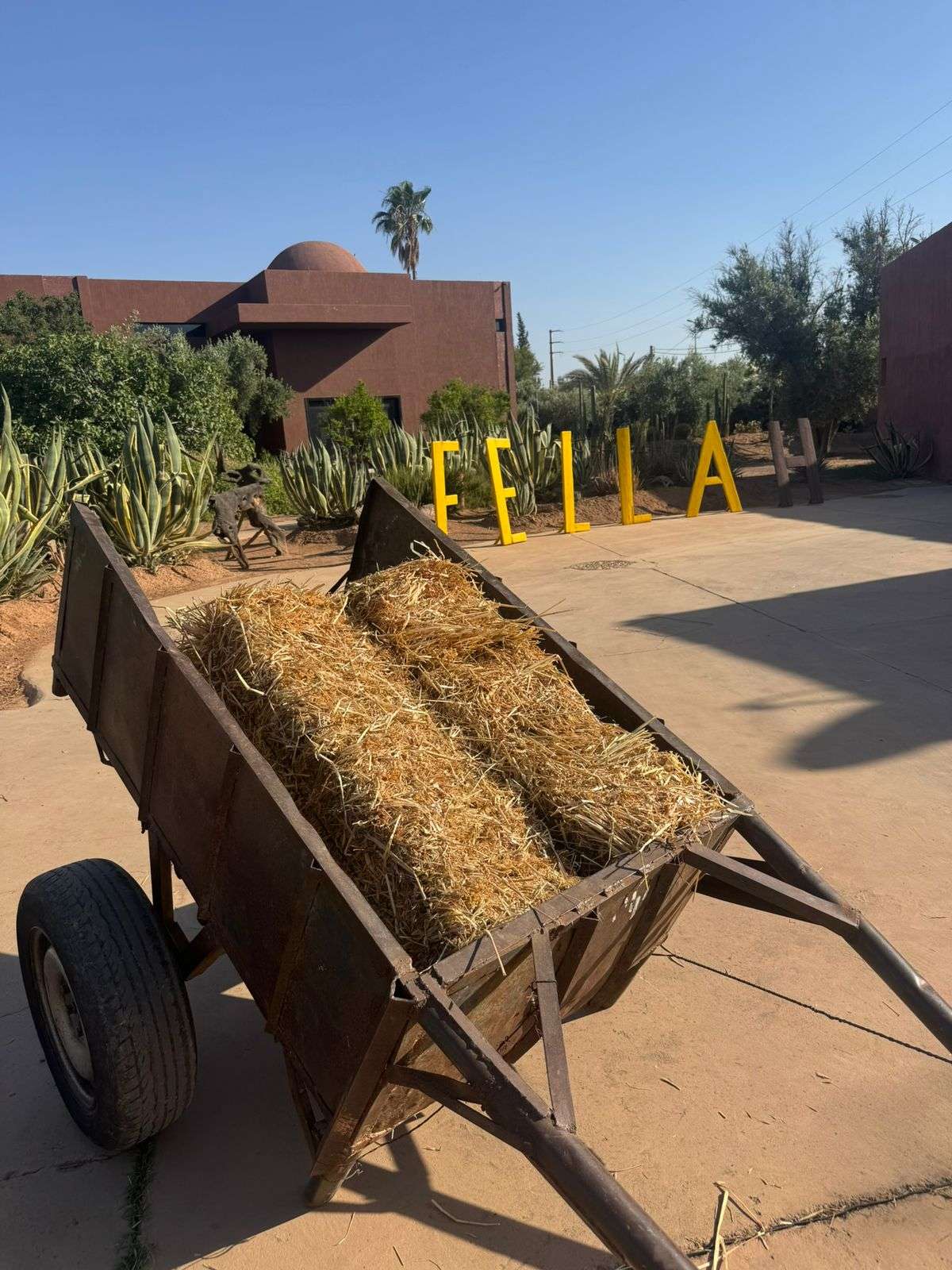 Fellah_Ferme